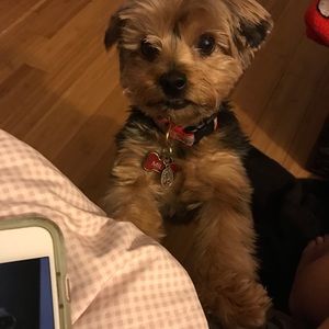 Meet your Posher, Cindy